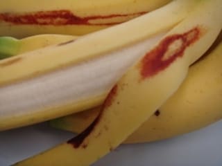 バナナの皮に赤い痣がありますが？